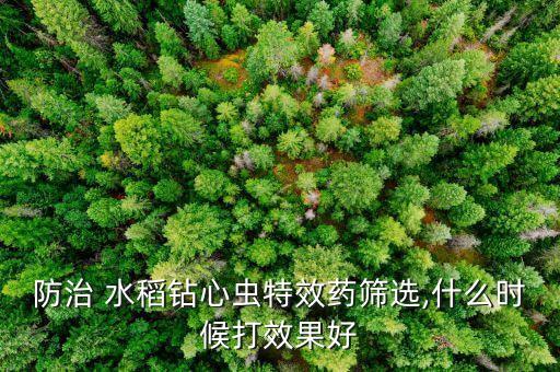 螟蟲打什么農(nóng)藥好(水稻),螟蟲用什么農(nóng)藥