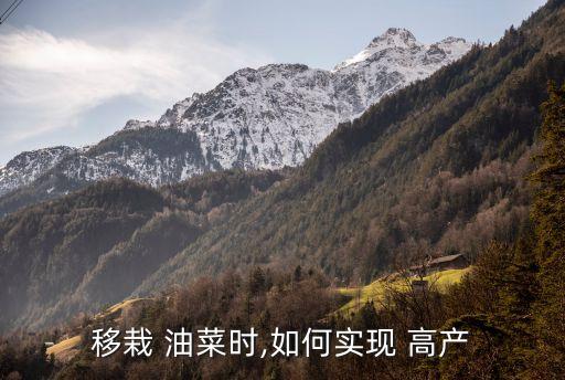 油菜高產噴什么農藥合適,油菜花期用什么農藥