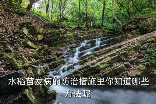  水稻苗發病的防治措施里你知道哪些方法呢