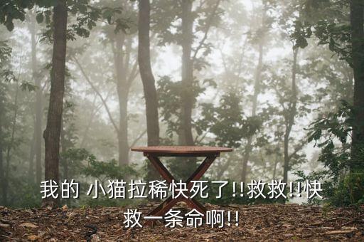小貓喝的什么農藥死的快,小貓媽媽死了喝什么奶