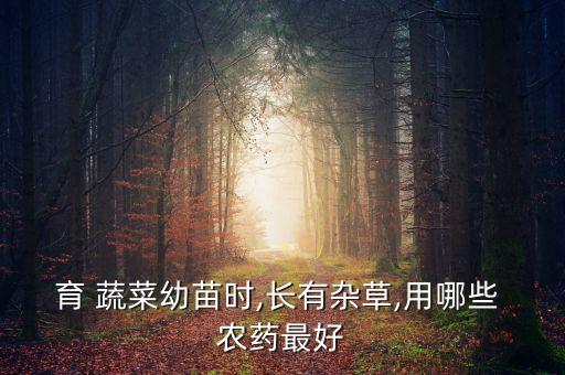 育 蔬菜幼苗時,長有雜草,用哪些 農(nóng)藥最好