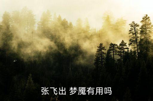 農(nóng)藥的夢魘是什么裝備,王者榮耀夢魘是什么裝備