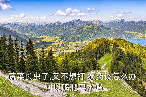 蔬菜長蟲了,又不想打 農(nóng)藥該怎么辦,可以噴肥皂水嗎