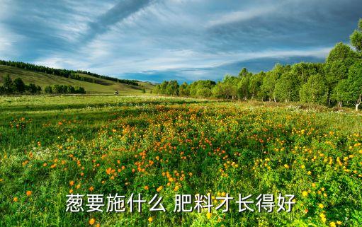農藥肥料做什么好,蛋殼可以做什么花的肥料