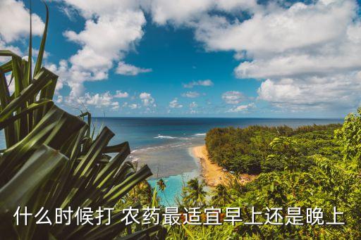 菜噴農藥什么時間噴,什么菜不打農藥不用激素