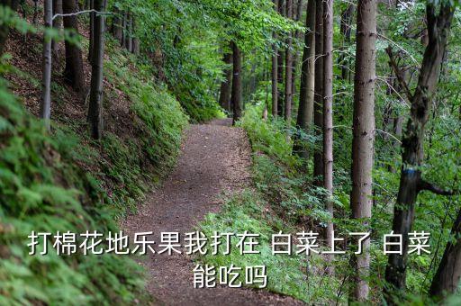 打棉花地樂果我打在 白菜上了 白菜能吃嗎