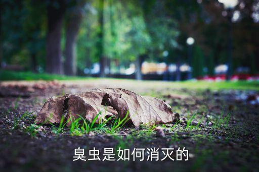 農村有臭蟲用什么農藥,農村的臭蟲學名叫什么