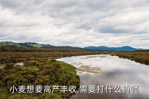 麥田用什么農(nóng)藥效果好,三月份麥田打什么農(nóng)藥