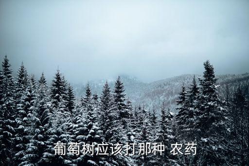 葡萄春季噴什么農(nóng)藥好點(diǎn),春季果樹噴什么農(nóng)藥