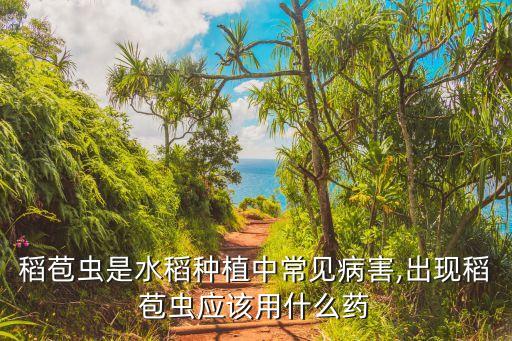 稻苞蟲是水稻種植中常見病害,出現(xiàn)稻苞蟲應(yīng)該用什么藥