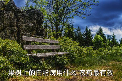 果樹上的白粉病用什么 農藥最有效