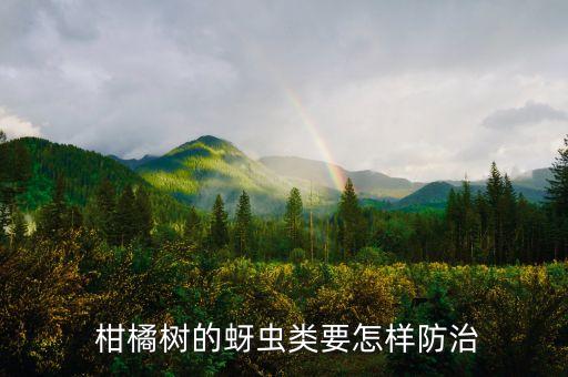 冬季用什么農藥打柑橘樹,三月份柑橘打什么農藥