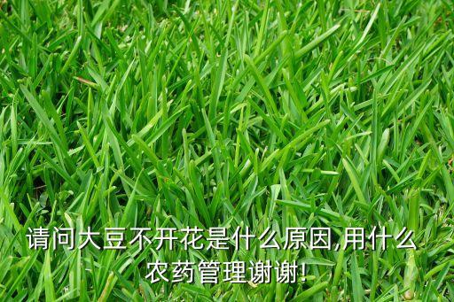 請問大豆不開花是什么原因,用什么 農藥管理謝謝!