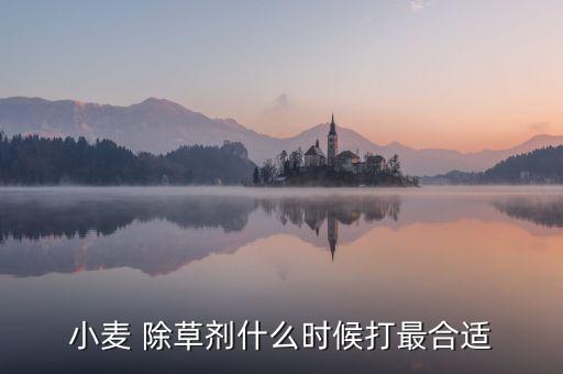 小麥 除草劑什么時候打最合適
