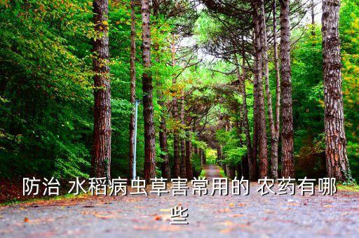 防治 水稻病蟲草害常用的 農藥有哪些