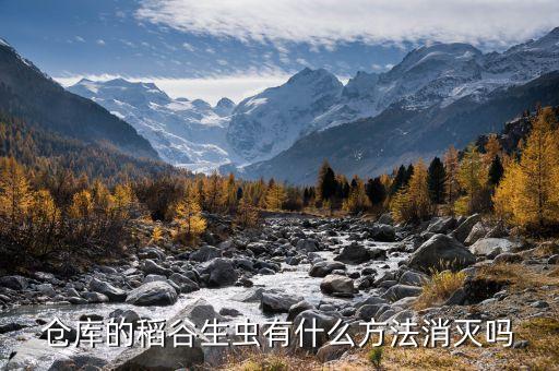 生姜蛀心蟲用什么農(nóng)藥