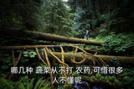 哪幾種 蔬菜從不打 農(nóng)藥,可惜很多人不懂呢