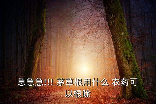 茅草地用什么農(nóng)藥除草快,茅草用什么農(nóng)藥除根