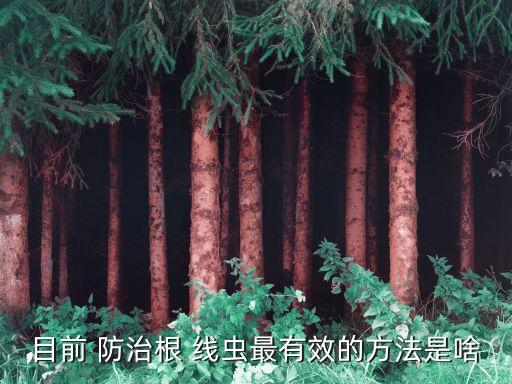 防治大蒜根線蟲用什么農藥,大蒜防治根結線蟲