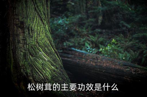 農藥樹蓉是什么,666粉是什么農藥