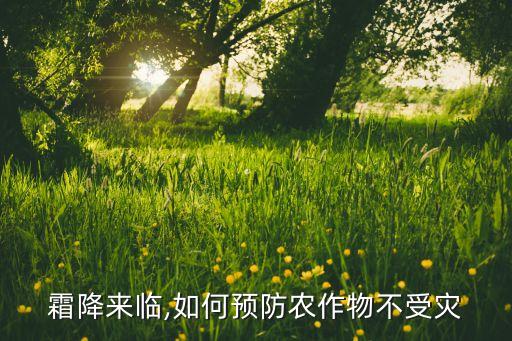有什么農藥能防霜,防蝗蟲用什么農藥?