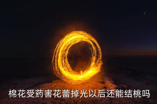 什么農(nóng)藥會導致棉花落桃,棉花后期打什么農(nóng)藥