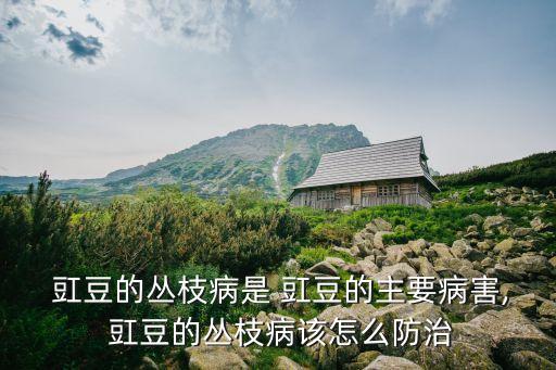豇豆球葉需打什么農藥