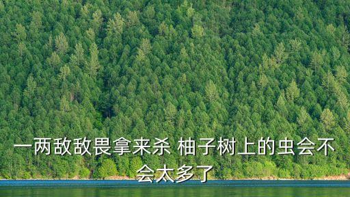 一兩敵敵畏拿來殺 柚子樹上的蟲會不會太多了