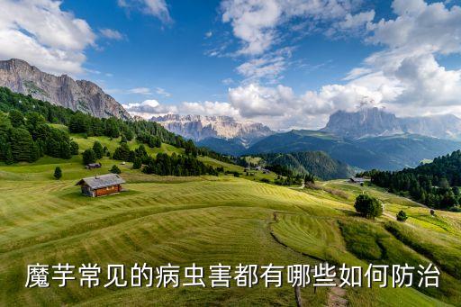 魔芋軟腐病用什么農藥好,干腐病用什么農藥