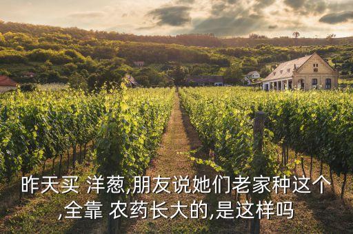 預(yù)防洋蔥發(fā)芽打什么農(nóng)藥,洋蔥發(fā)芽了會(huì)長(zhǎng)出什么