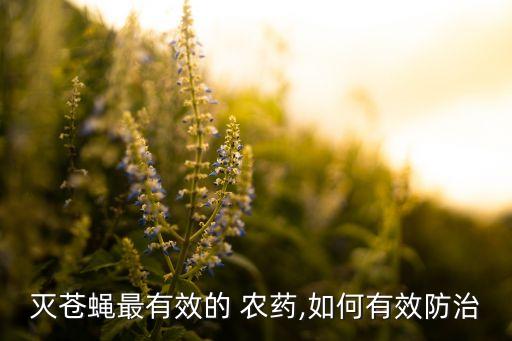 滅蒼蠅最有效的 農(nóng)藥,如何有效防治