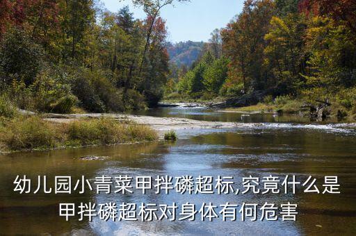農藥塞克是什么成分,農藥pbo是什么成分