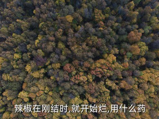 爛辣椒用什么農藥好使點,打辣椒農藥什么時間打效果好