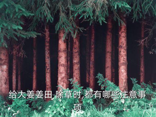 生姜除草用什么農藥好,茶葉除草用什么農藥