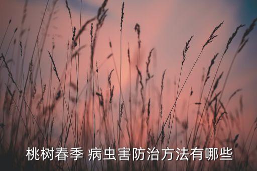  桃樹春季 病蟲害防治方法有哪些