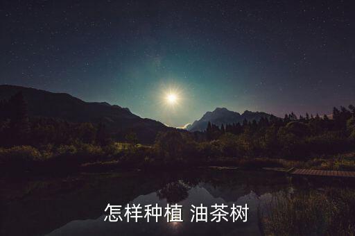 怎樣種植 油茶樹