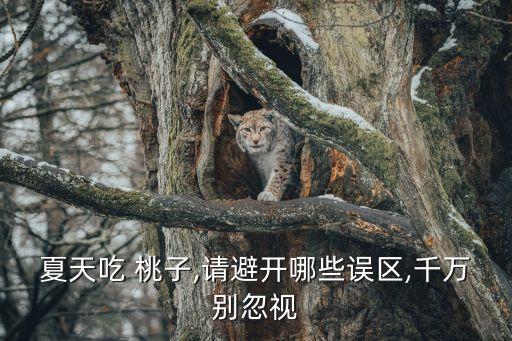 夏天吃 桃子,請避開哪些誤區,千萬別忽視