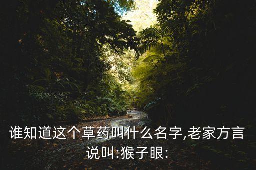 馬猴怕什么農藥,根腐病最怕什么農藥