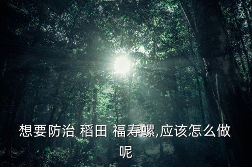 稻田有福壽螺用什么農藥,福壽螺用什么農藥殺死