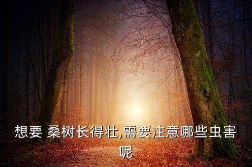 想要 桑樹長得壯,需要注意哪些蟲害呢