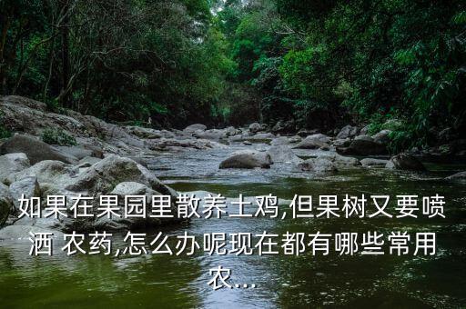 如果在果園里散養土雞,但果樹又要噴灑 農藥,怎么辦呢現在都有哪些常用農...