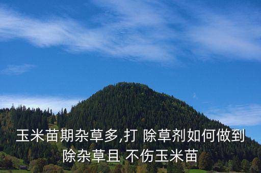 用什么農藥除草不傷苗,什么農藥除草效果最好