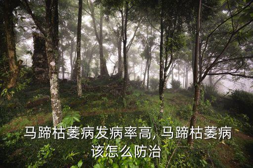  馬蹄枯萎病發病率高, 馬蹄枯萎病該怎么防治