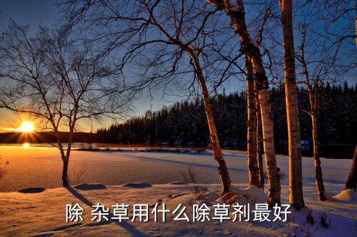 除 雜草用什么除草劑最好