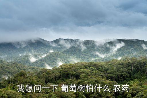 現(xiàn)在葡萄都打什么農(nóng)藥,現(xiàn)在什么葡萄最好