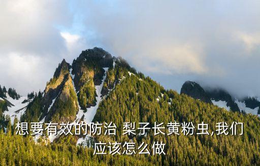 梨子應噴什么農藥最好,梨子打什么農藥