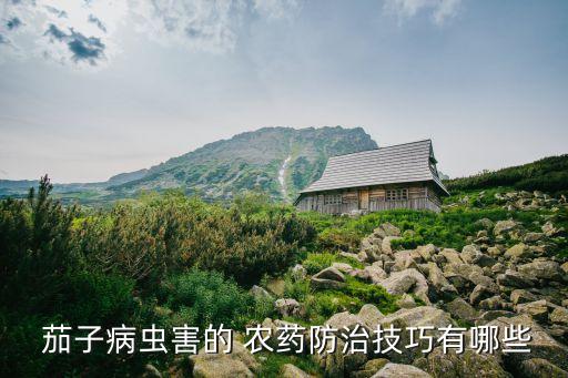 茄子紅蜘蛛用什么農藥,茄子打什么農藥效果好