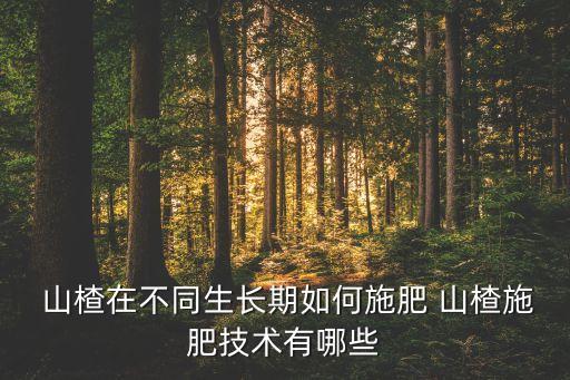  山楂在不同生長期如何施肥 山楂施肥技術有哪些