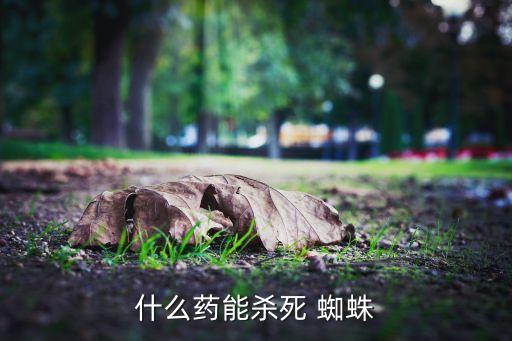 室外蜘蛛用什么農藥,蜘蛛用什么農藥可以殺死