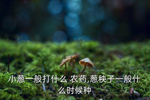 小蔥一般打什么 農藥,蔥秧子一般什么時候種